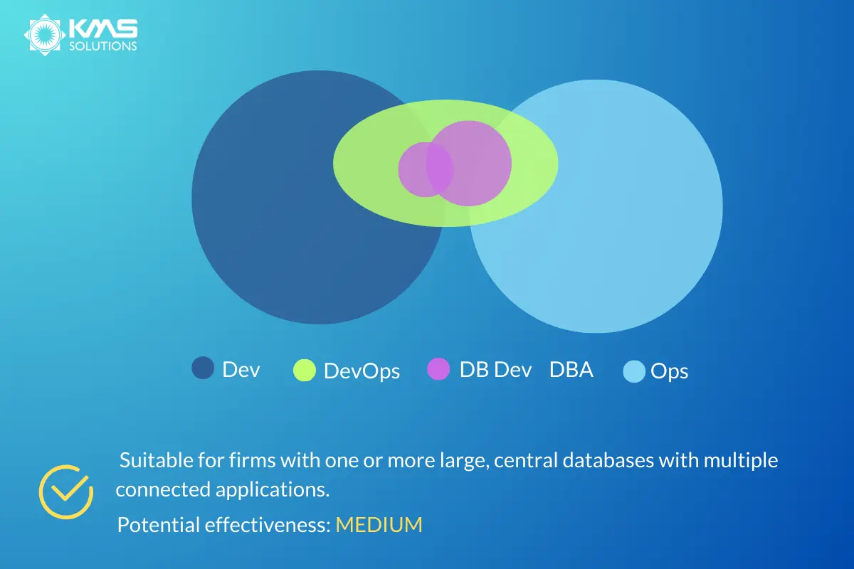 Dev and DBA collaboration team structure