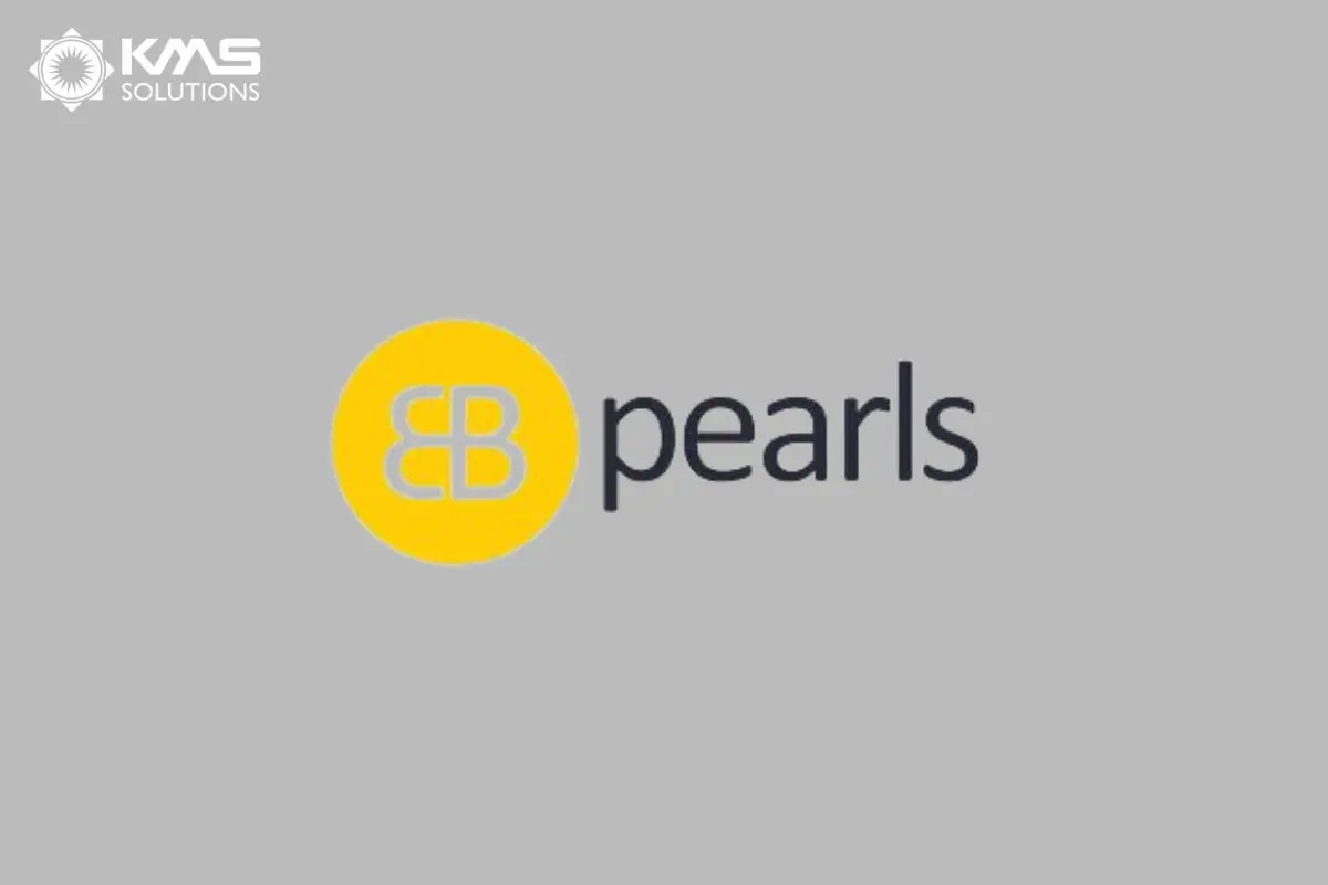 EB Pearls - Top financial services software development