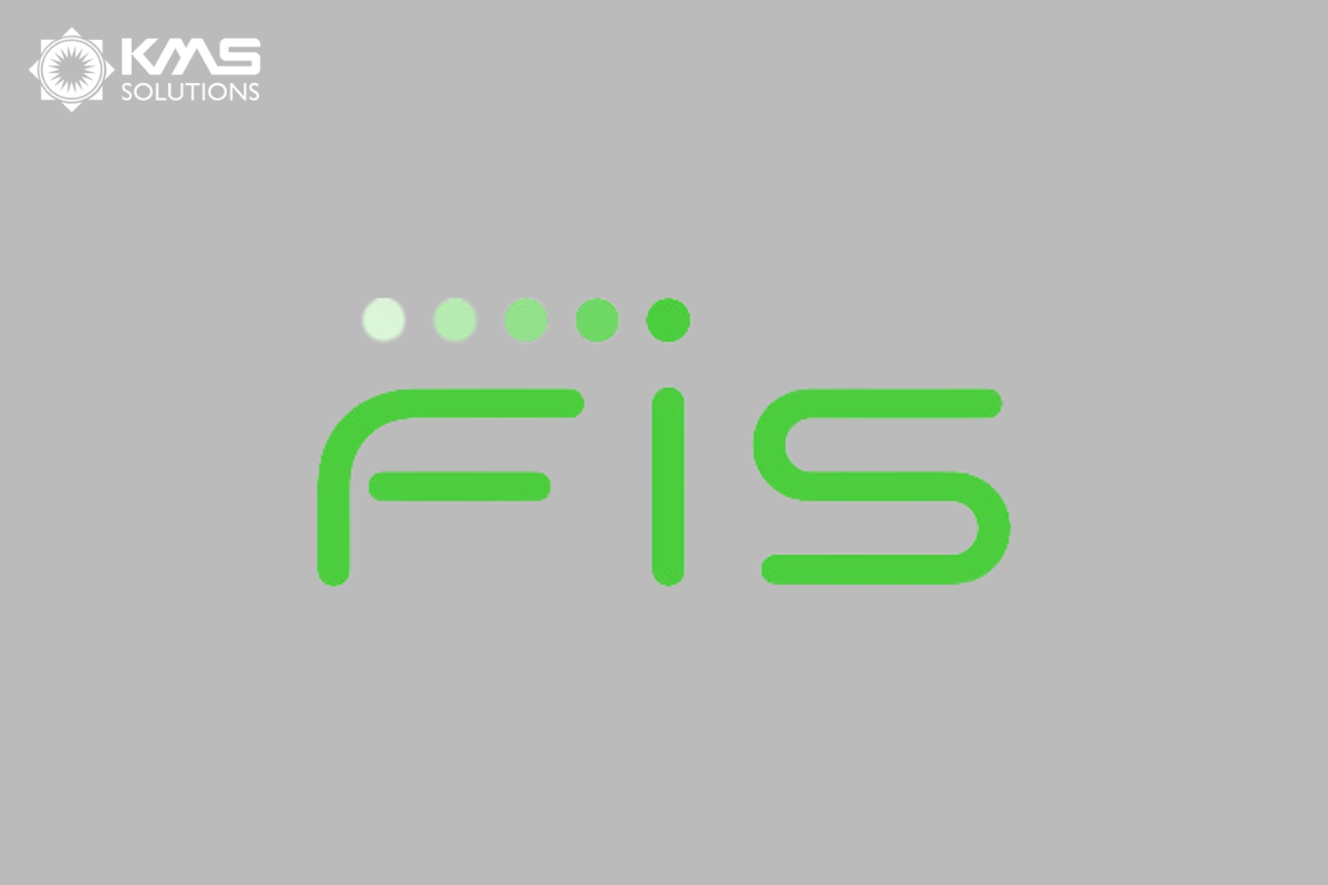 FIS- Top 6 financial software development services