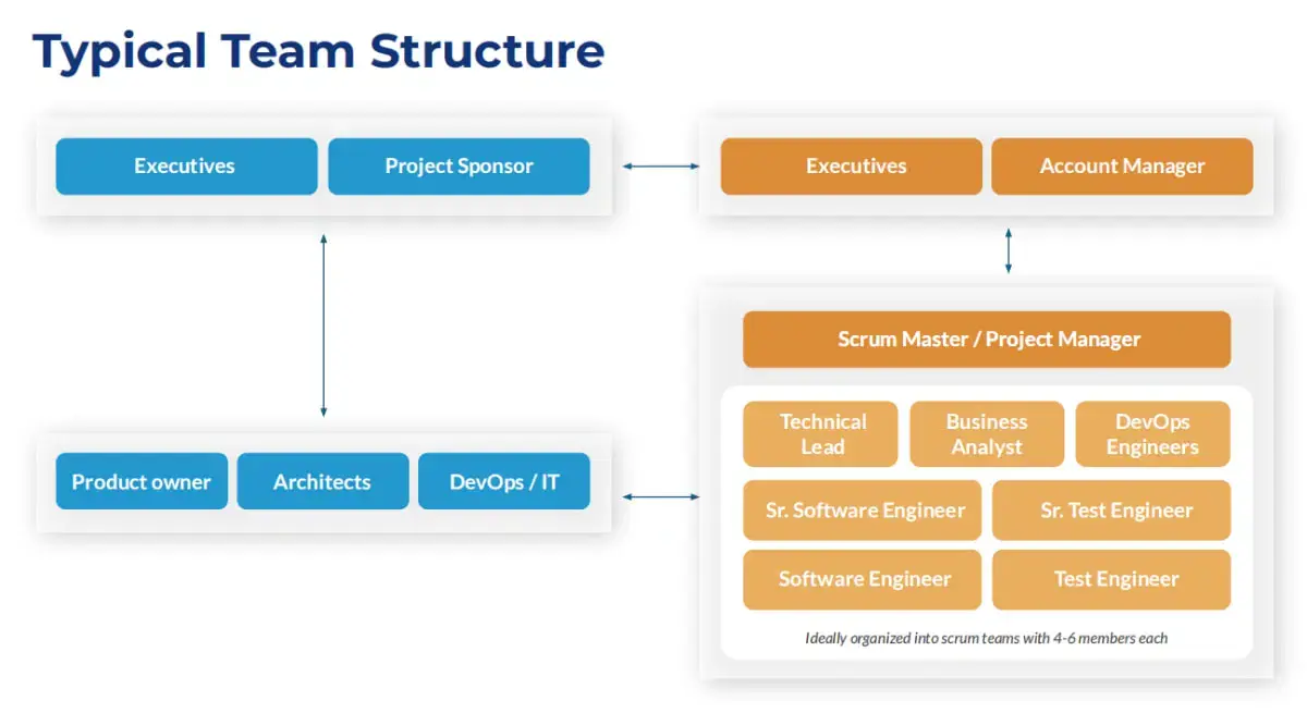 Dedicated Development Team Structure