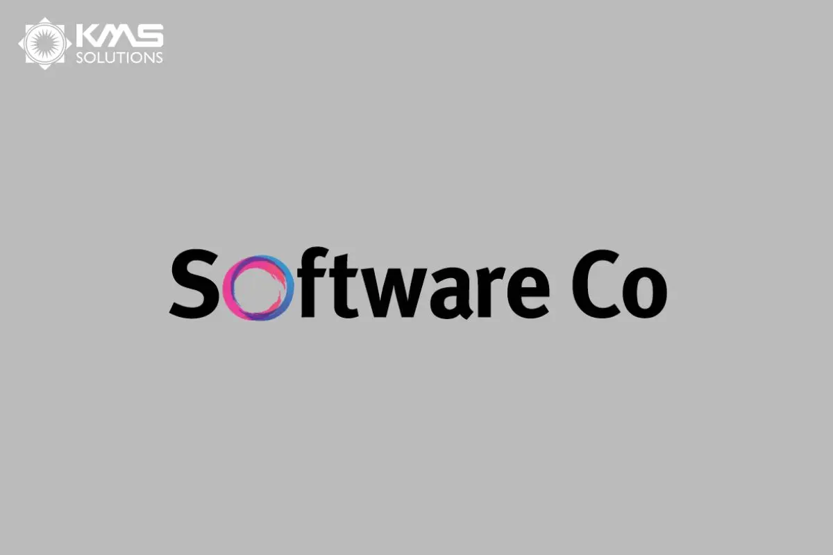 Software Co - Top financial software development services