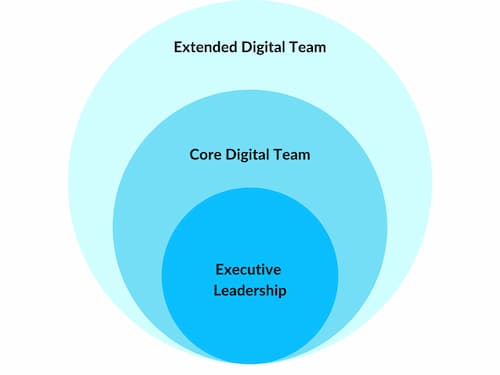 What does a Digital Team look like