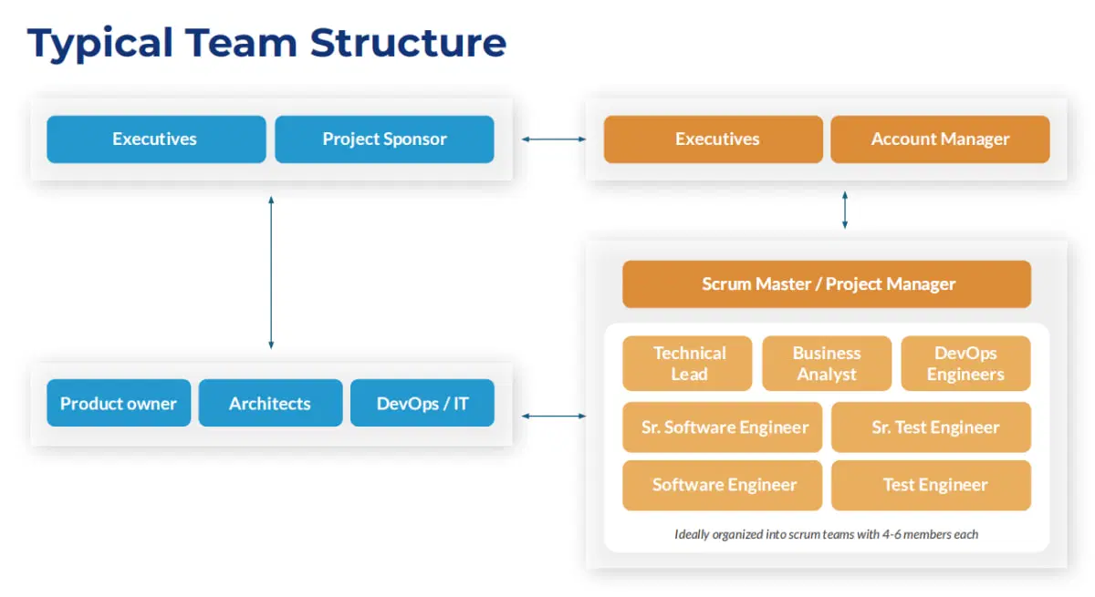 digital team structure